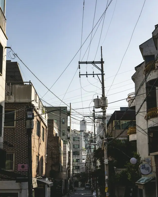 대전 주말 나들이 코스