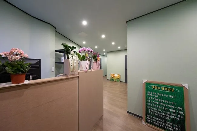구미시 완전리 신타이 대표 전경 · 아로마 마사지샵