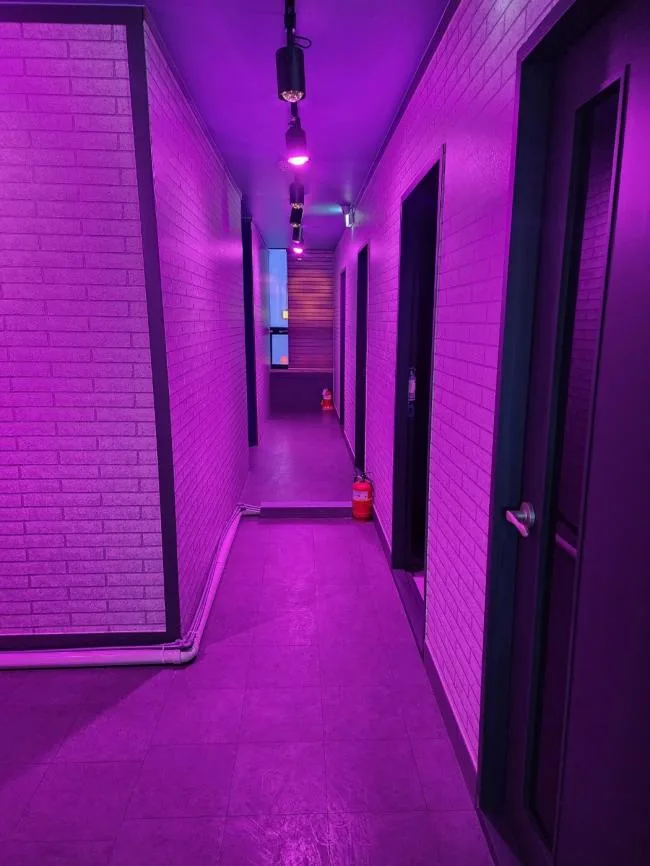 강릉시 임당동 레드스웨디시 이용 시설 · 스웨디시 마사지샵