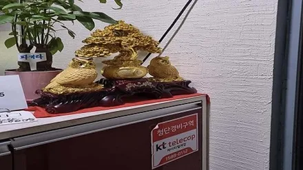 군산시 나운동 홍중국전통 · 스웨디시 마사지샵