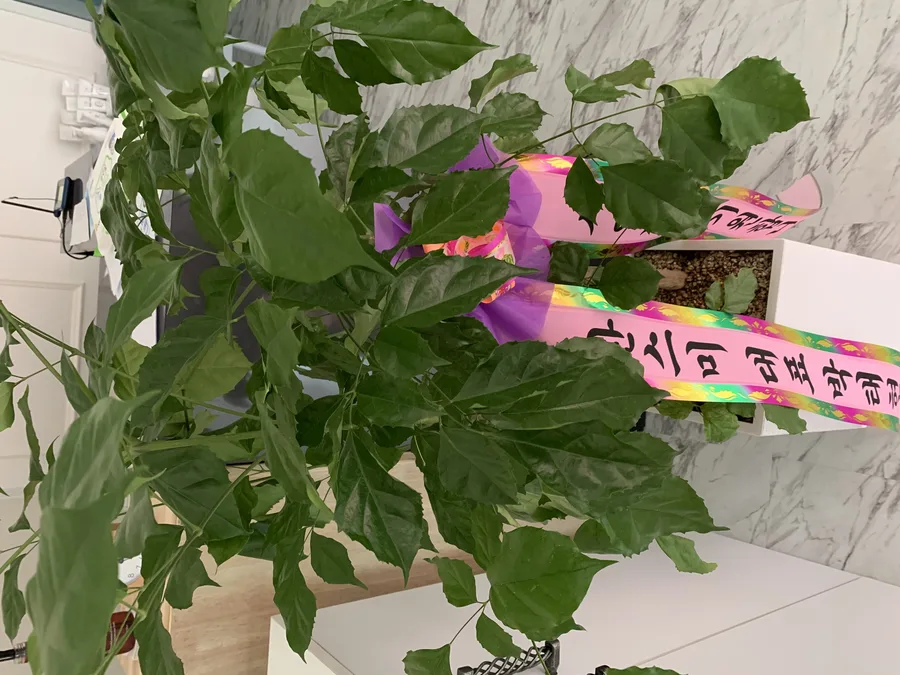 순천시 신대리 엄지손풋바디 대기 공간 · 아로마 마사지샵