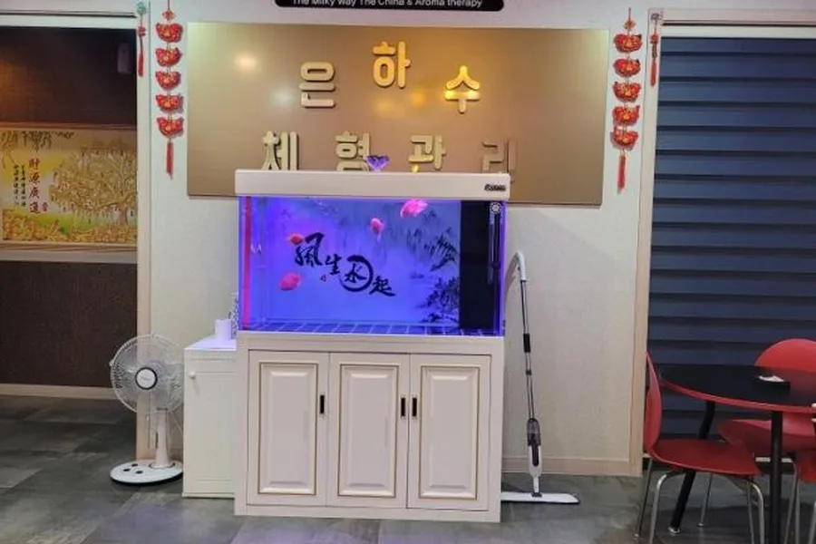 시흥시 정왕동 은하수체형관리 대표 전경 · 스웨디시 마사지샵
