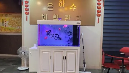 시흥시 정왕동 은하수체형관리 · 스웨디시 마사지샵